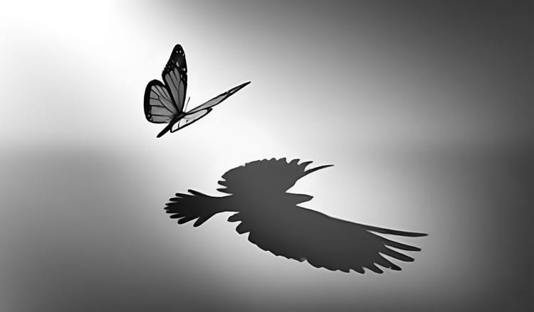 The Grace To Relearn People You Already Knew
